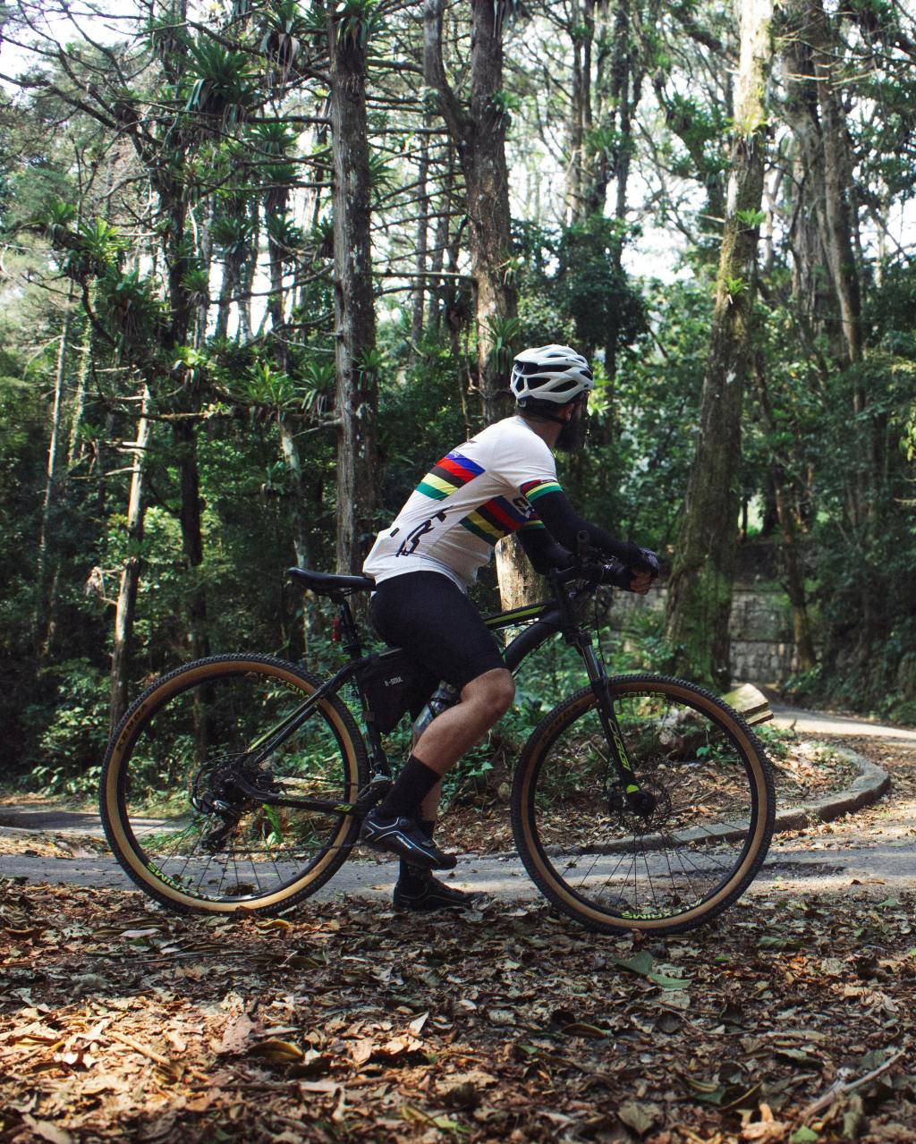 🚴‍♂️ Radparadies Österreich: Die 10 schönsten Radtouren im&nbsp;Überblick